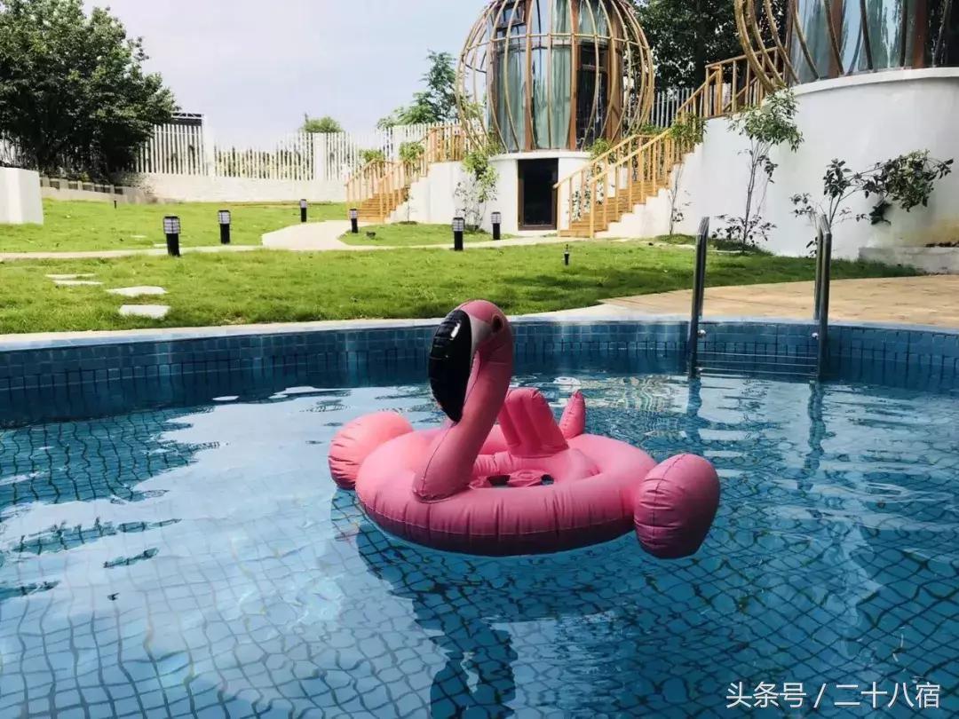 她在南京,南京谷里熏衣草庄园最佳观赏期