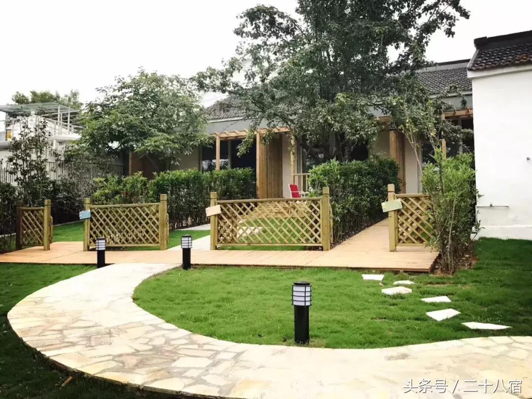 她在南京,南京谷里熏衣草庄园最佳观赏期