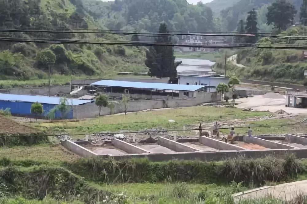 狗养殖场需要办什么证件,狗养殖场办理什么证件