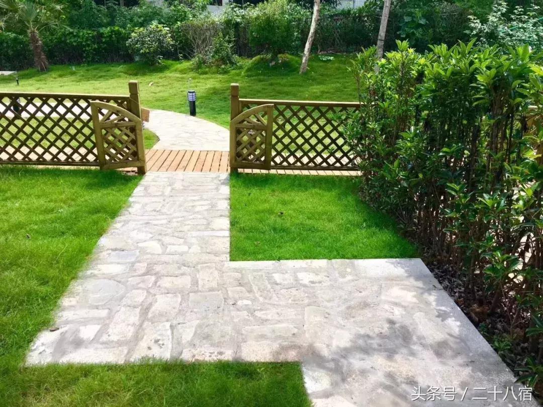 她在南京,南京谷里熏衣草庄园最佳观赏期