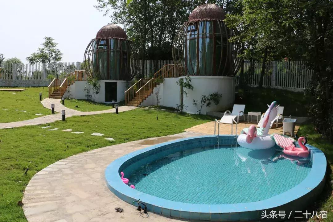 她在南京,南京谷里熏衣草庄园最佳观赏期