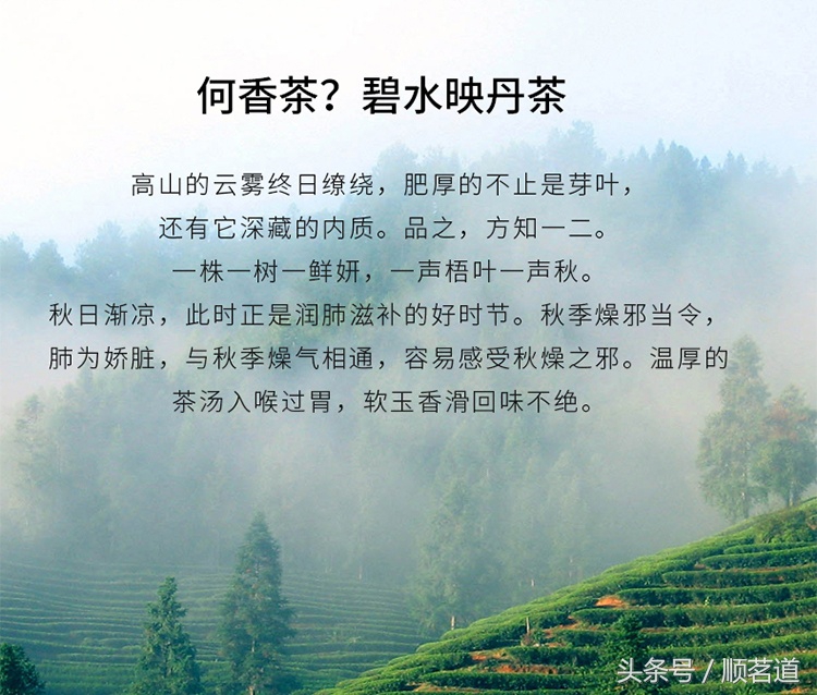 再贵的护肤品都不如一杯白茶,白茶与大牌护肤品