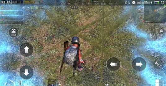 刺激战场的女子特工是谁,大脸妹刺激战场诡异事件