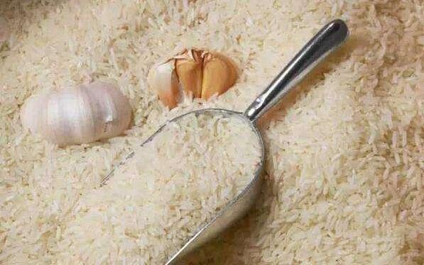 家里大米生虫有飞蛾,千万别暴晒!教你两招,不发霉也不生虫