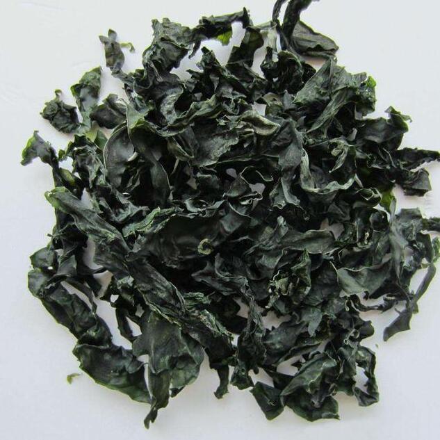 家里大米生虫有飞蛾,千万别暴晒!教你两招,不发霉也不生虫