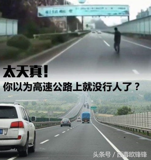 汽车在高速路上行驶，撞到人机动车一方需要负责吗？