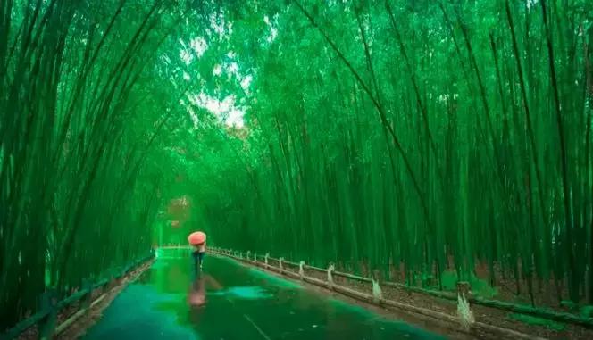 河南哪个景区高速免费,河南哪些景区高速免费