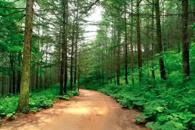 河南哪个景区高速免费,河南哪些景区高速免费