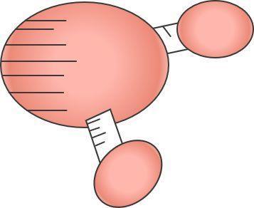 用错了致痘，用对了治痘！护肤还是毁脸，取决于你是否知道……