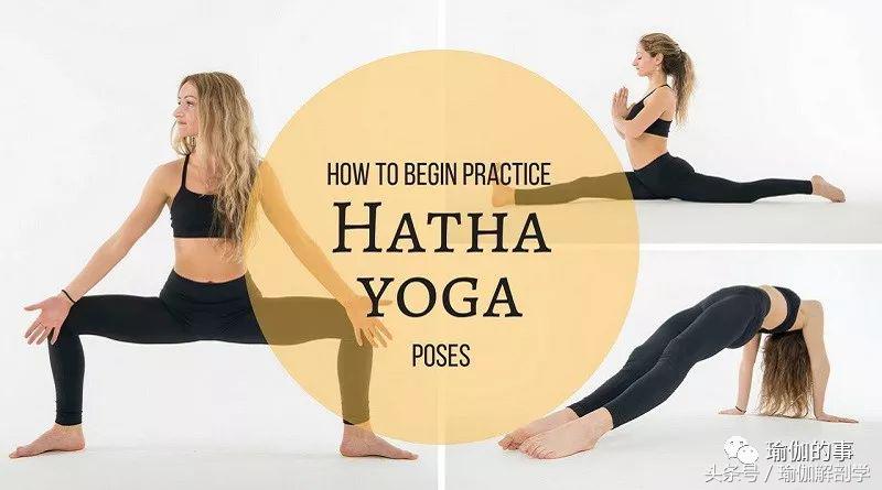 初学瑜伽应该选择啥样的瑜伽,初学瑜伽者选择什么瑜伽好