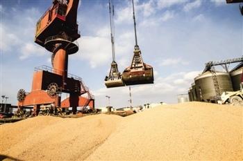 进口大豆最新事件,山东晨曦集团停产了吗