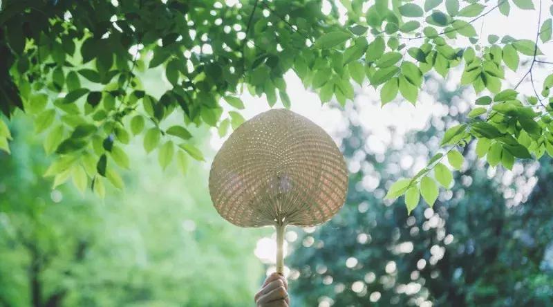 孩子发热不能大意一定要去看,孩子发热是症状大人不要焦虑