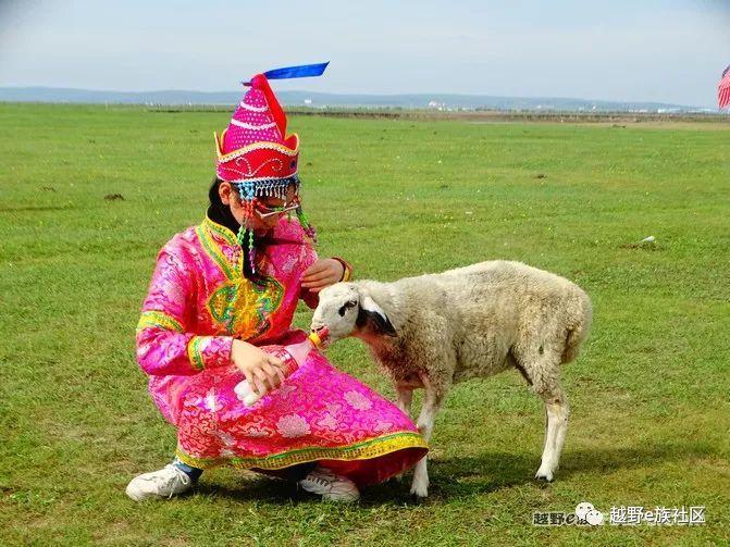 一生总要去一次草原，我的草原自由行之旅