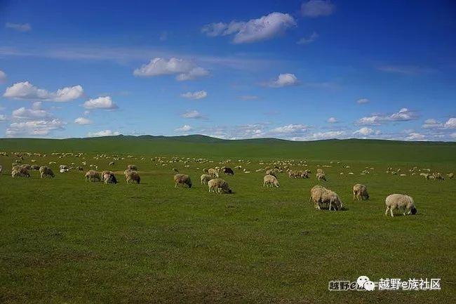 一生总要去一次草原，我的草原自由行之旅
