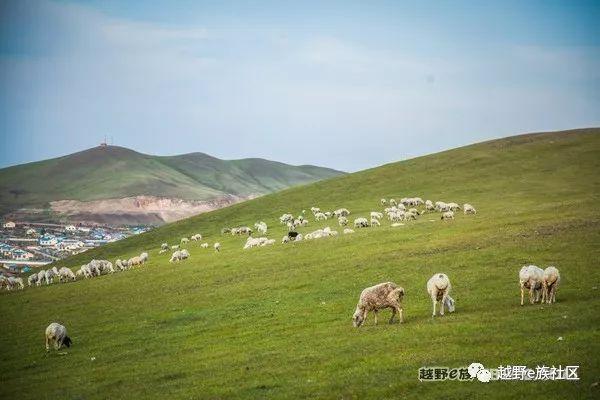 一生总要去一次草原，我的草原自由行之旅