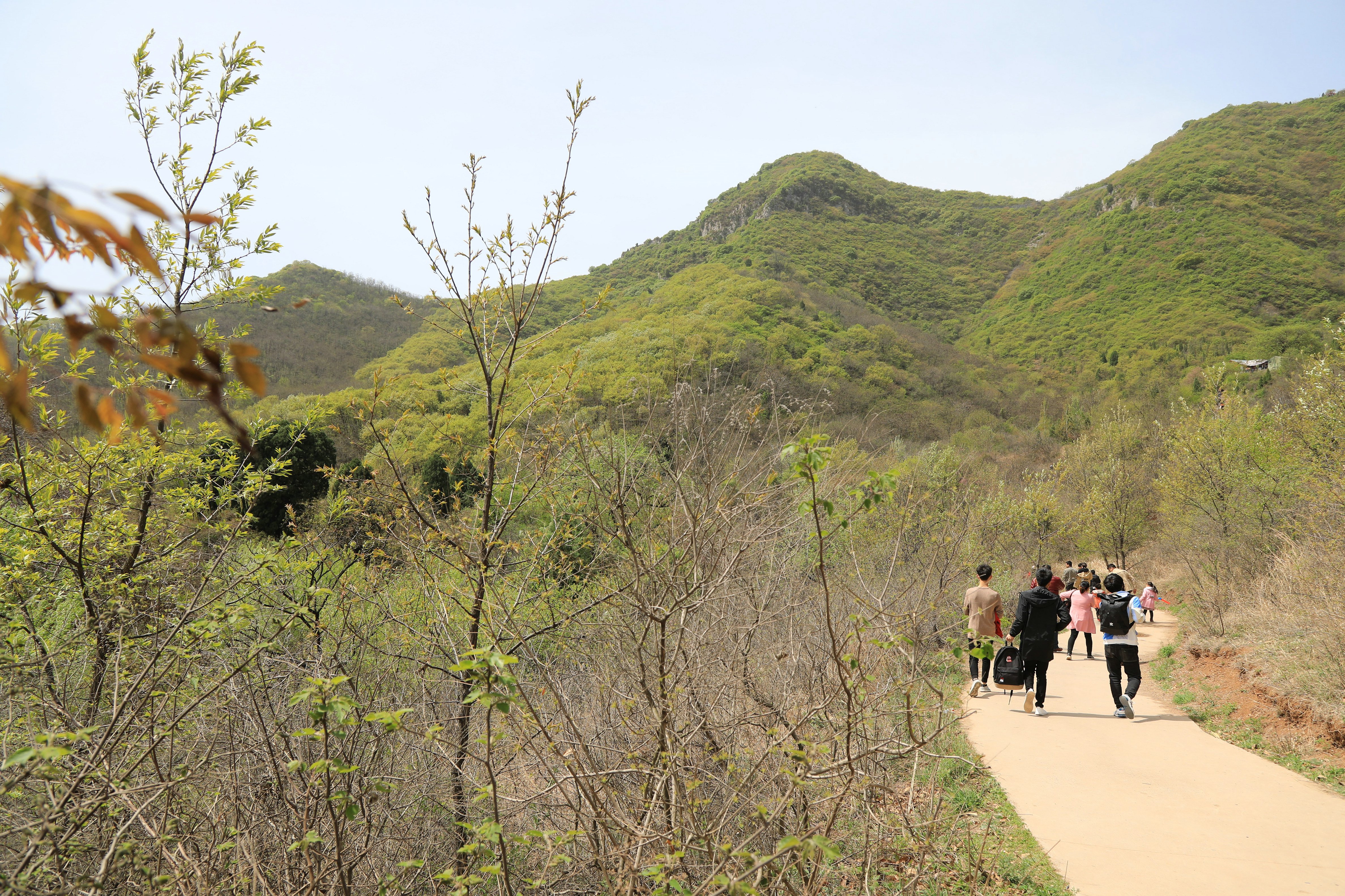 哪些地方有塔林,什么是塔林