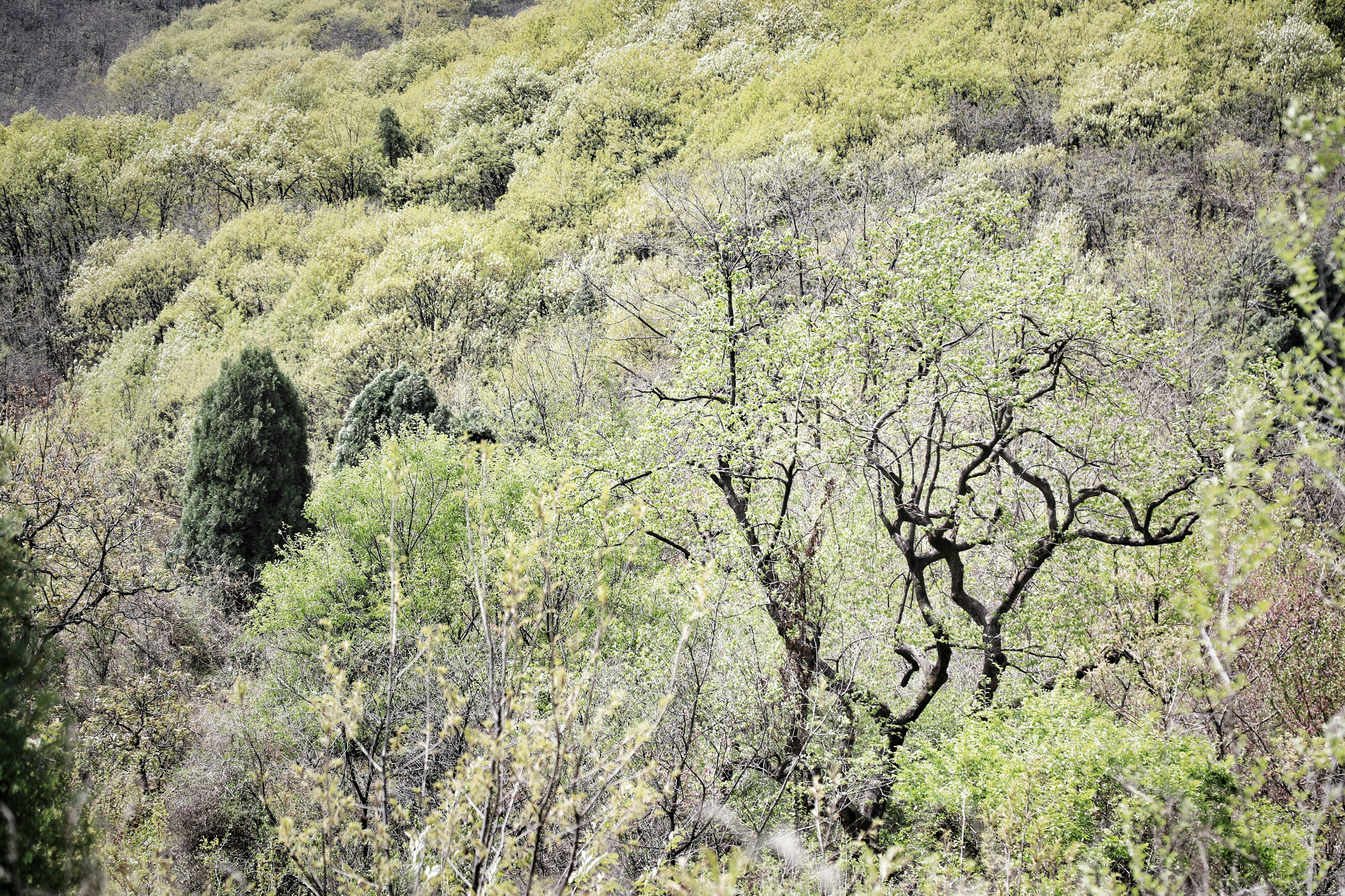 哪些地方有塔林,什么是塔林