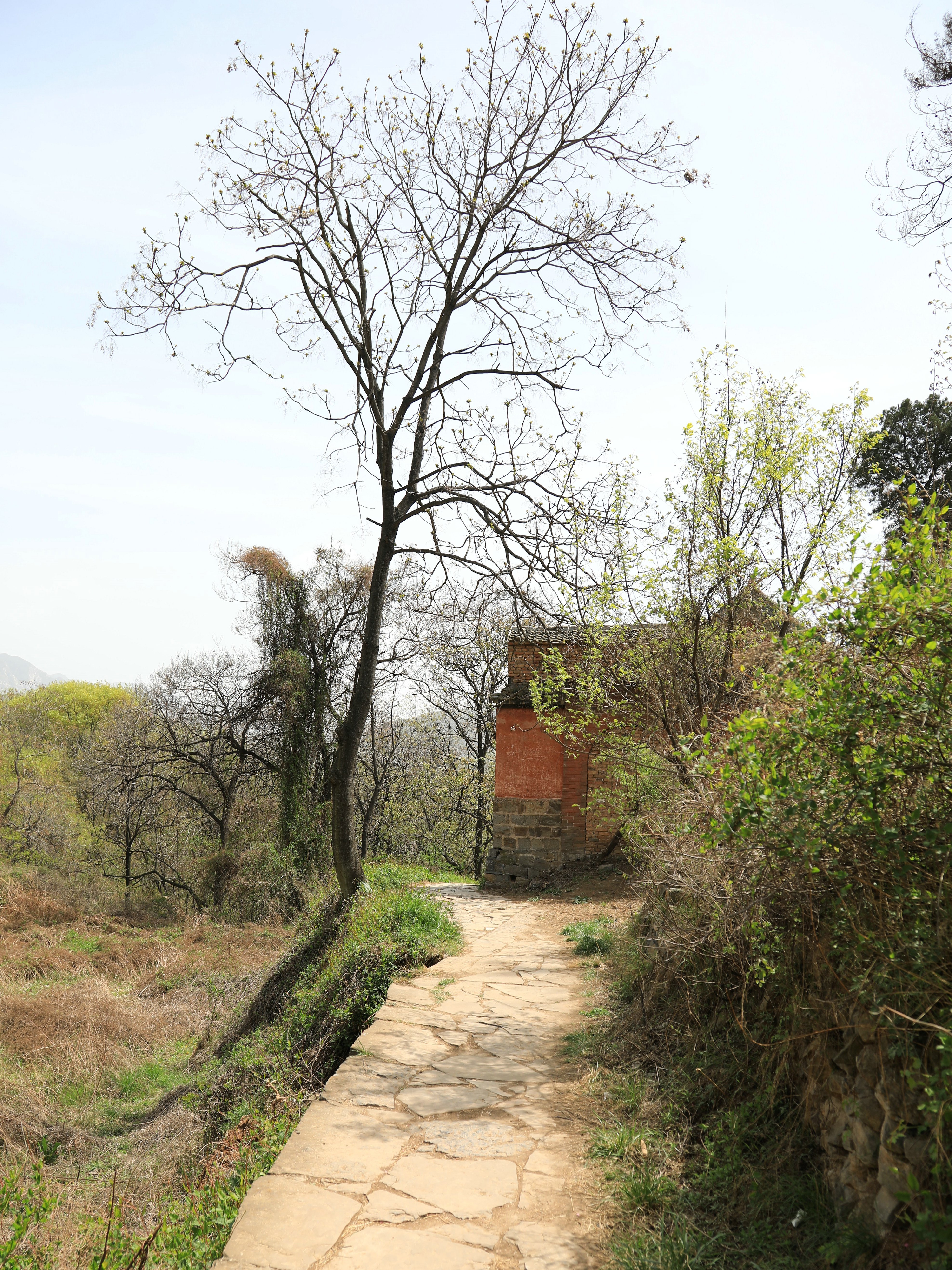 哪些地方有塔林,什么是塔林