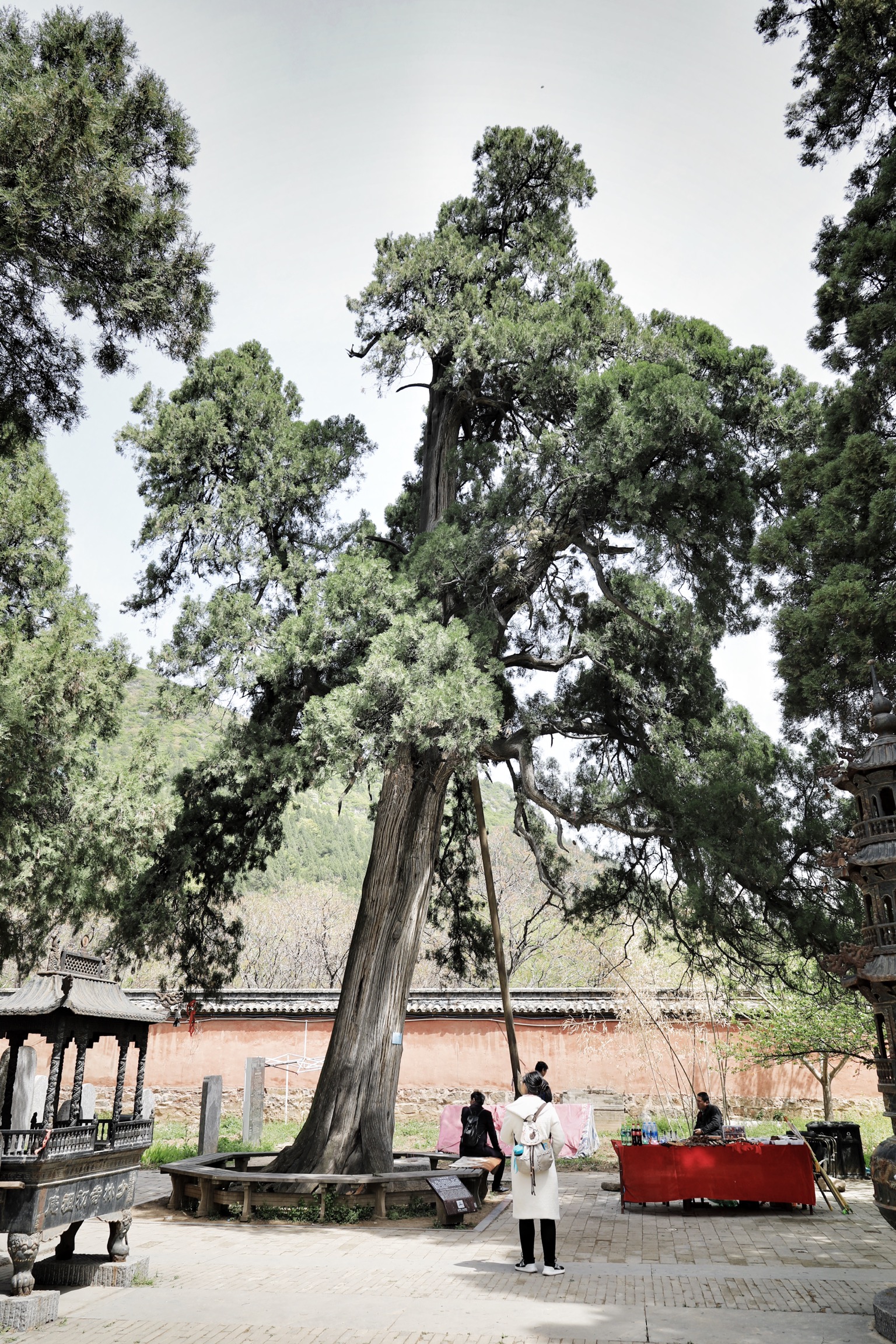 哪些地方有塔林,什么是塔林