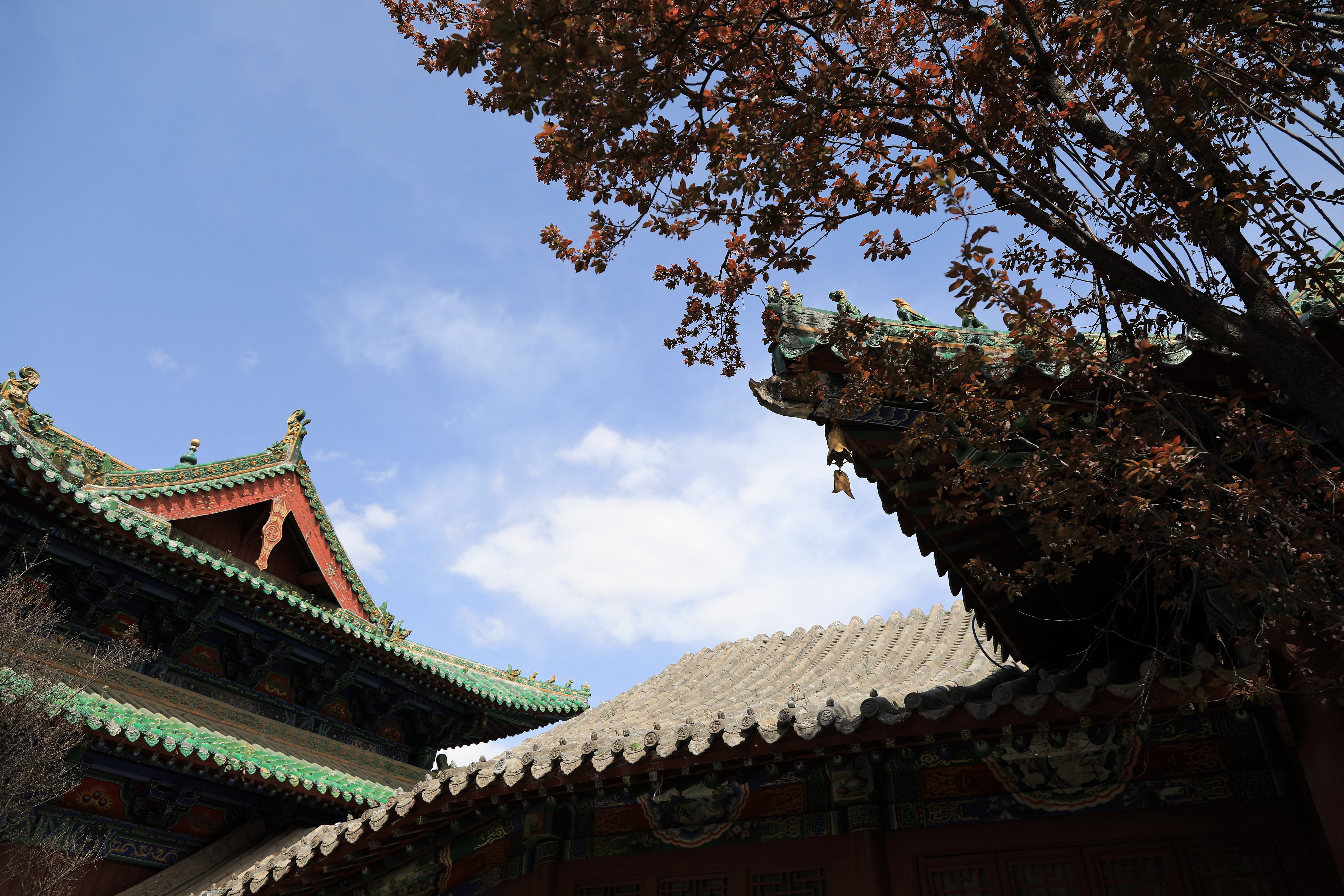 哪些地方有塔林,什么是塔林