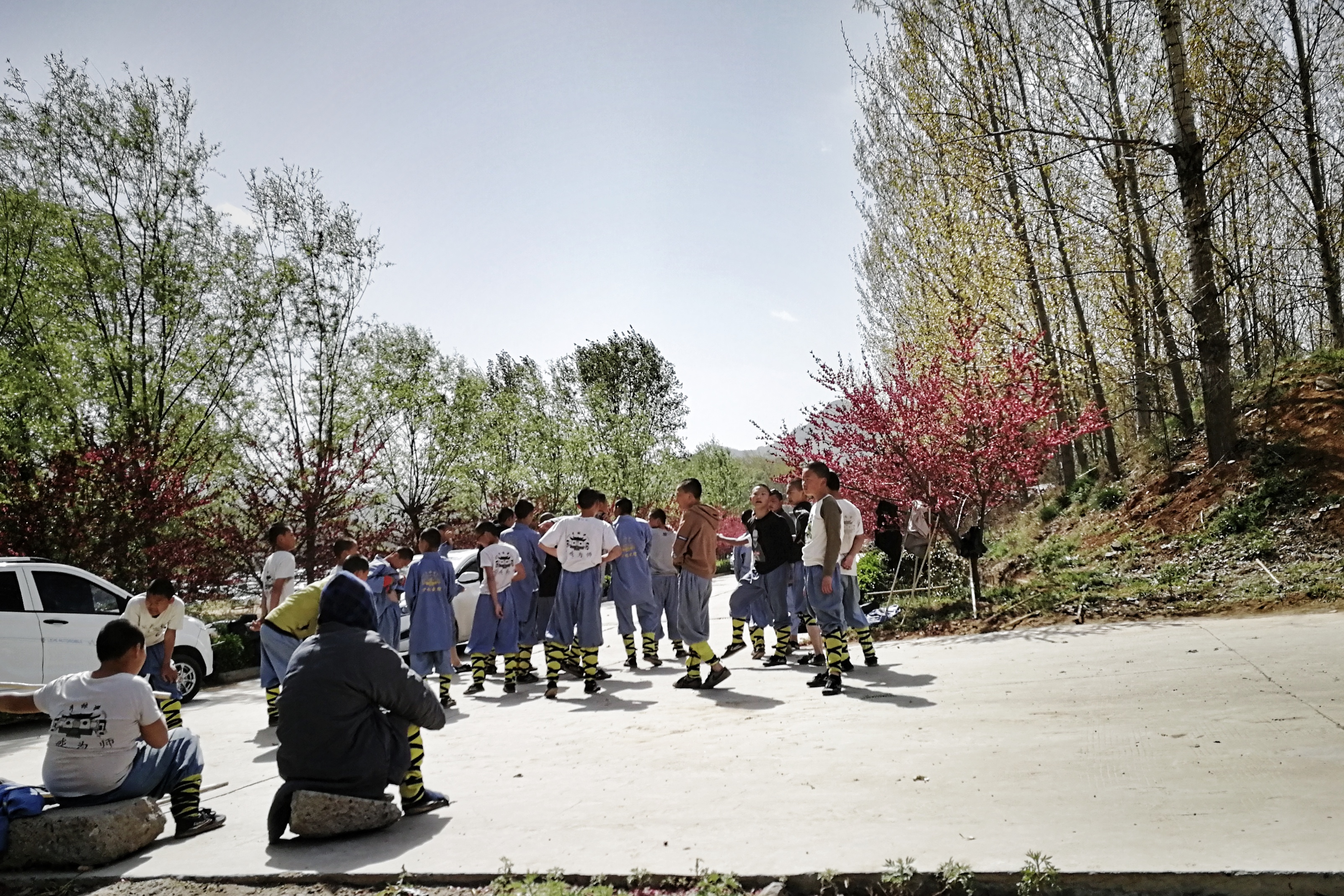 哪些地方有塔林,什么是塔林
