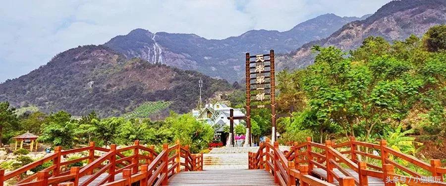 半山旅游酒店,半山温泉酒店预订