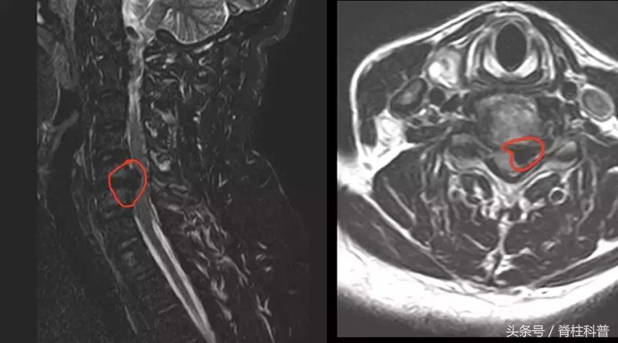 病急乱投医不一定能解决问题,病急乱投医导致病情恶化