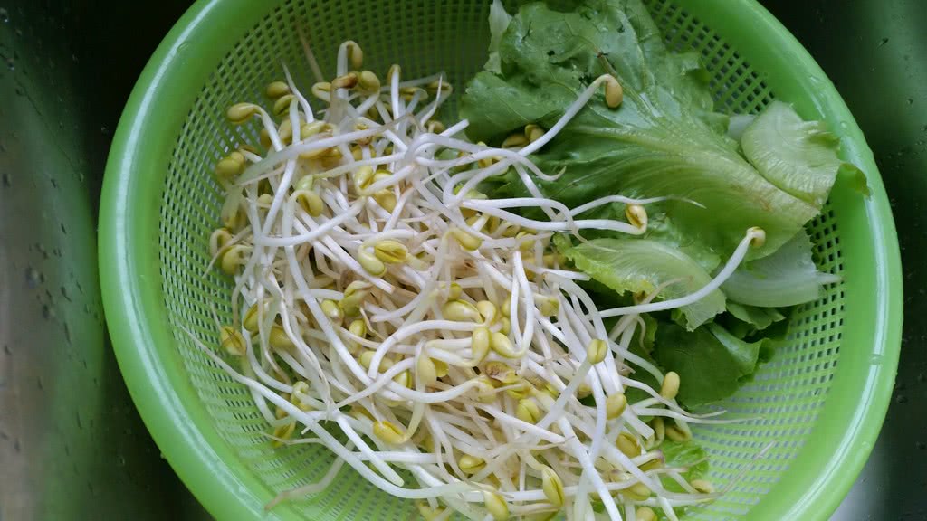 油泼面怎么做才好吃呢,油泼面怎么做好吃又简单视频