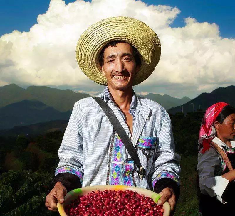 咖啡品种风味区别,咖啡品种及口味大全