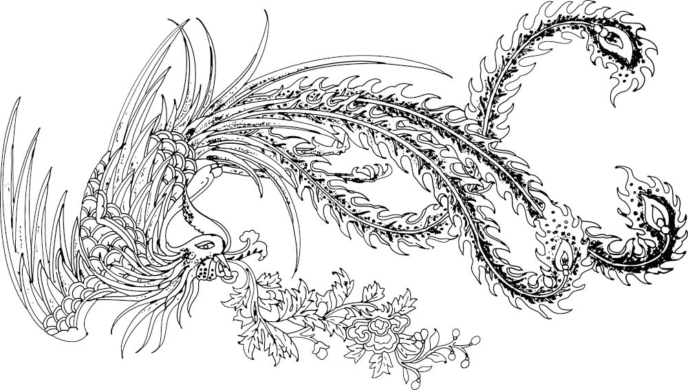 凤凰白描线稿图,百鸟之王凤凰图片唯美