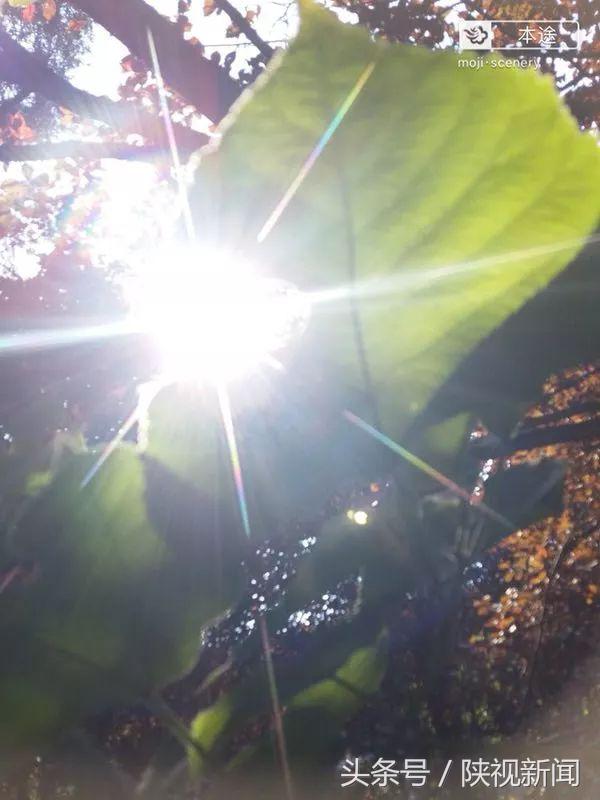 西安最近这么热反常吗？啥时候“退烧”？气象专家说……