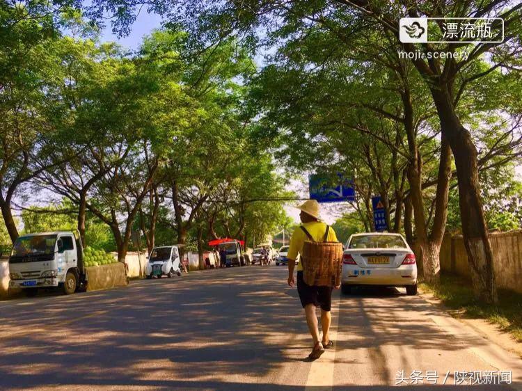 西安最近这么热反常吗？啥时候“退烧”？气象专家说……