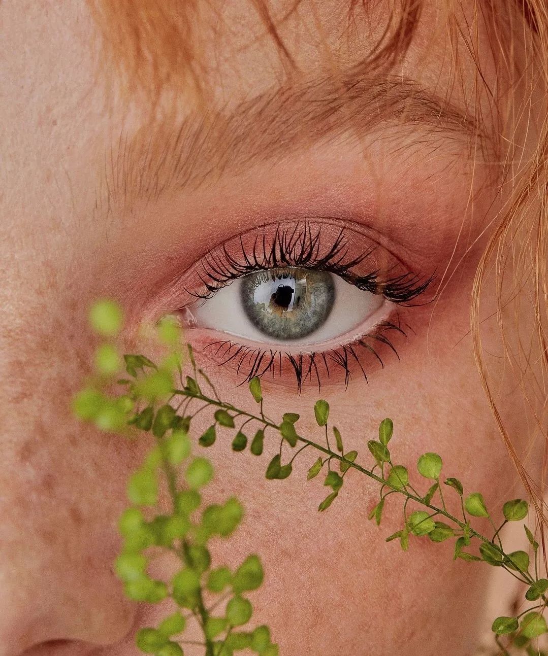 杨幂代言睫毛膏,杨幂巧迪尚惠睫毛膏