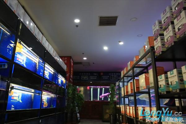 「龙巅鱼邻人物访谈」“真性情”张国刚