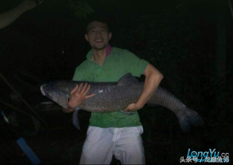 「龙巅鱼邻人物访谈」“真性情”张国刚