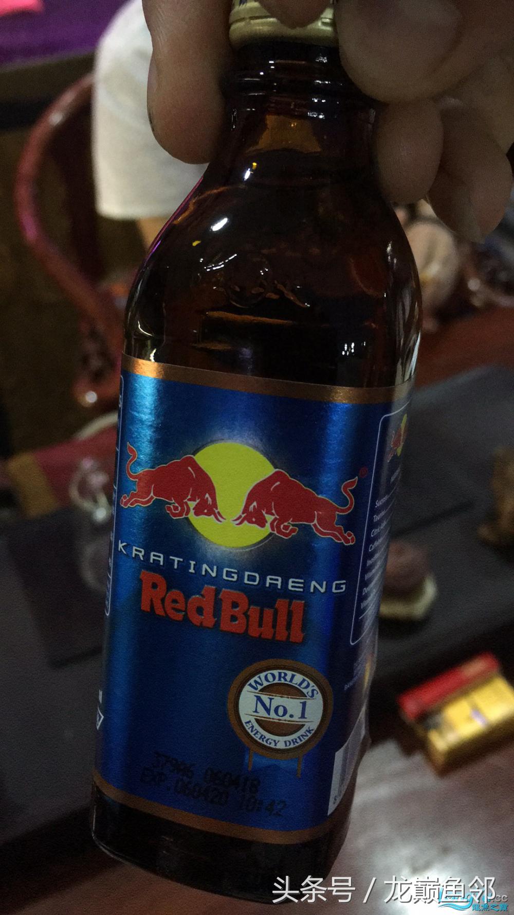 「龙巅鱼邻人物访谈」“真性情”张国刚