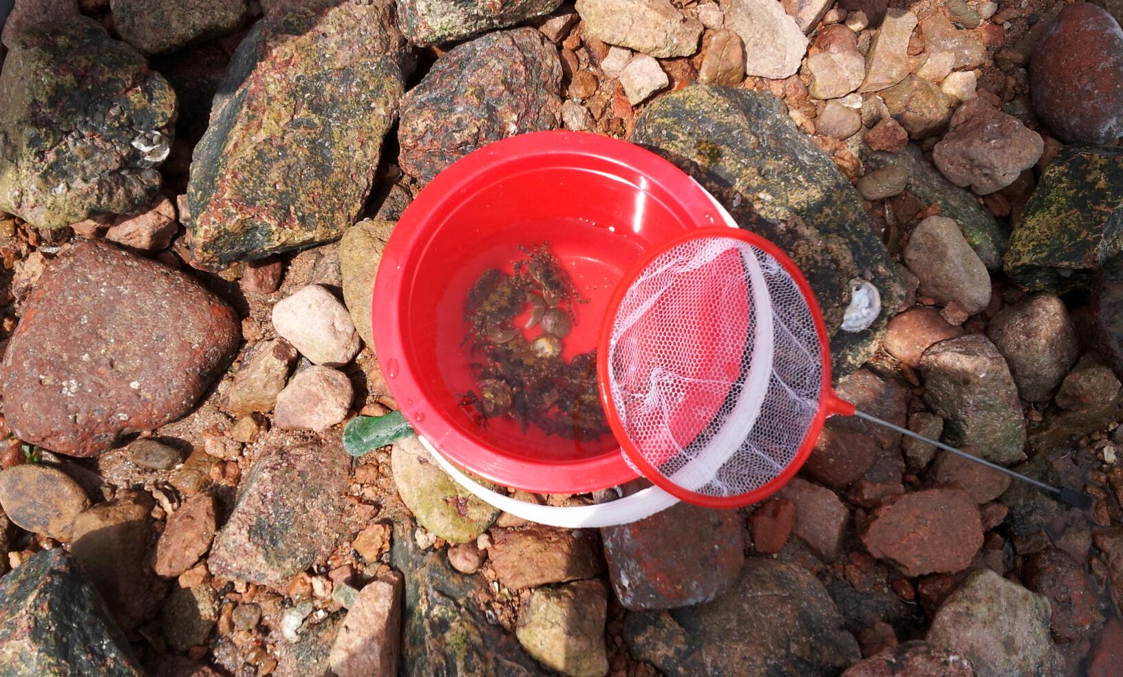 让你满载而归的赶海技巧,赶海攻略100条