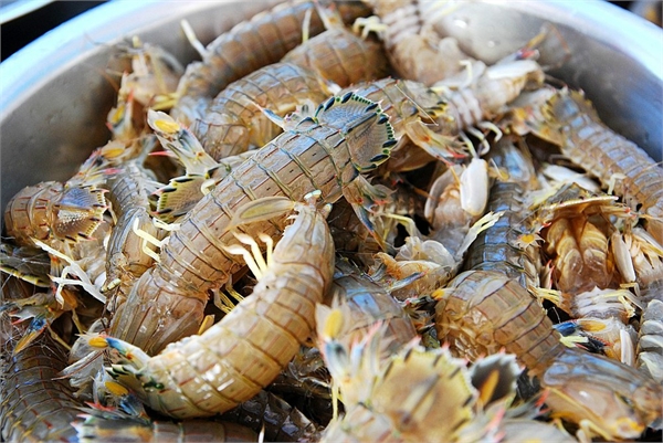 让你满载而归的赶海技巧,赶海攻略100条