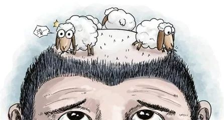 霸王防脱育发洗发代言人,霸王防脱谁代言