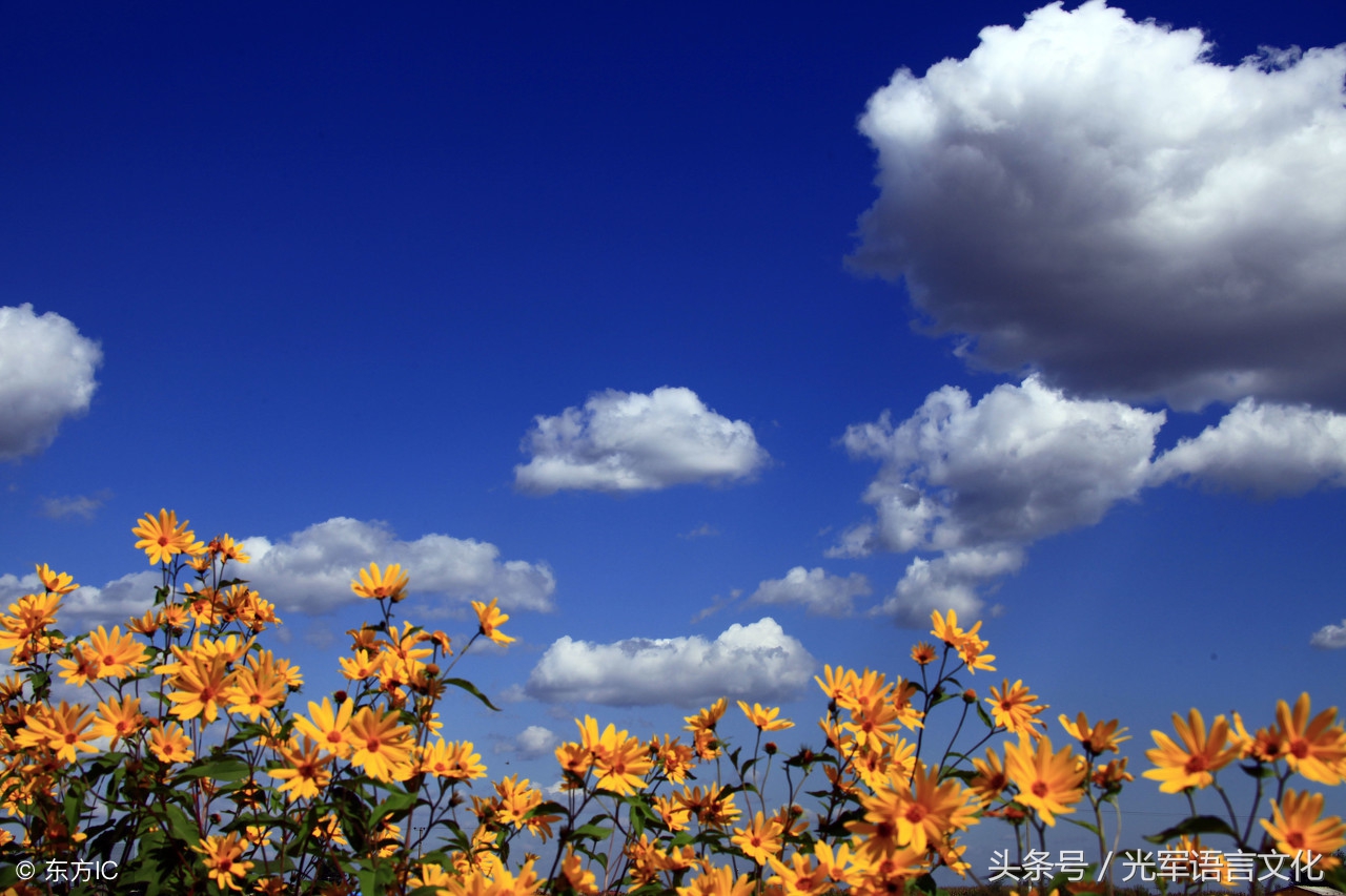 专题：与“云cloud”有关的英语短语和习语飘过来了，快看吧