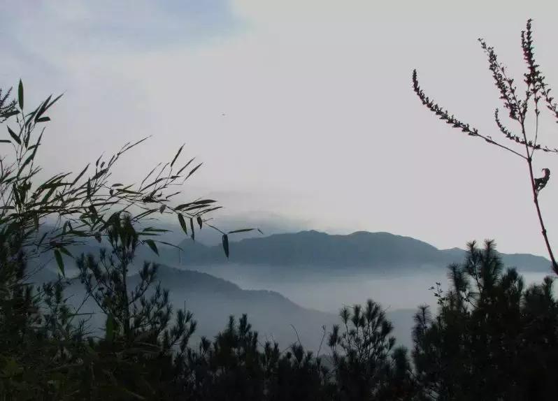 浙南这座山太牛了,李白、徐霞客疯狂推荐,日本佛教都源于这里