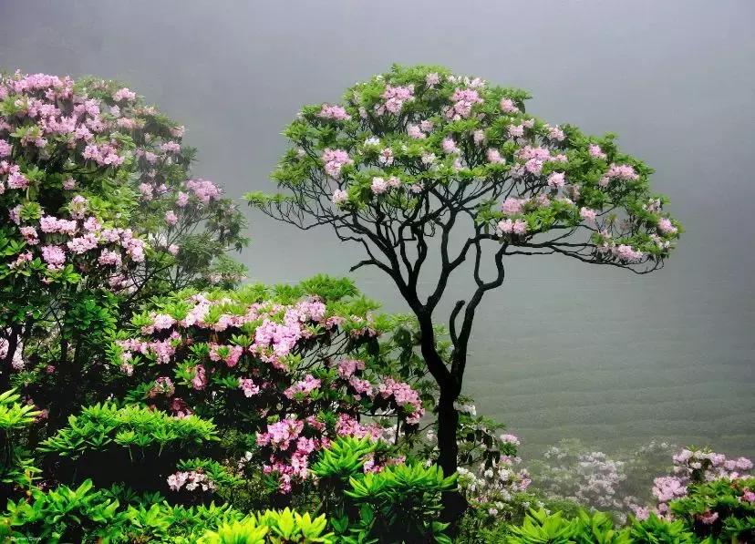 浙南这座山太牛了,李白、徐霞客疯狂推荐,日本佛教都源于这里