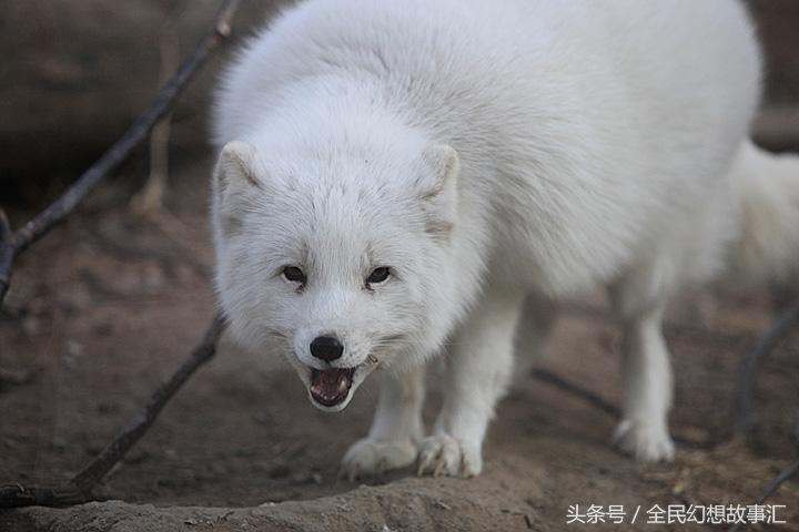 丧子多年，门前来个老道，开口便说“跟着纸鹤，就能找到你儿子”