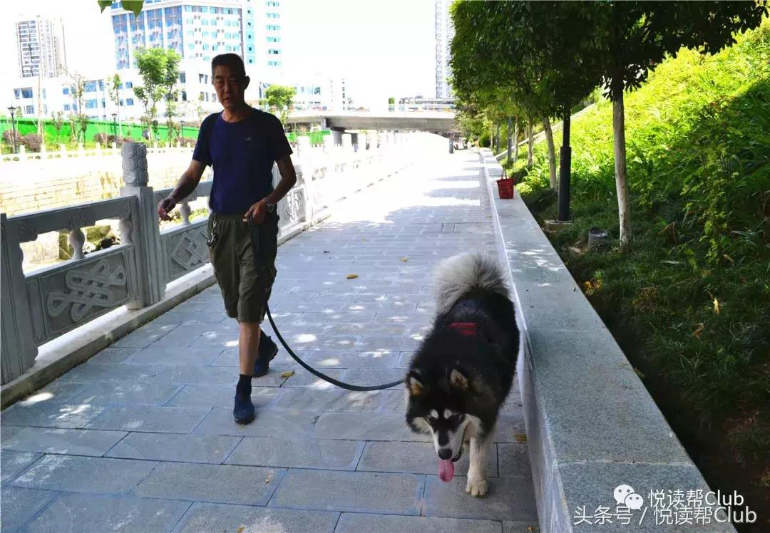 复兴安顺贯城河,保护我们的母亲河,每位安顺人责无旁贷!