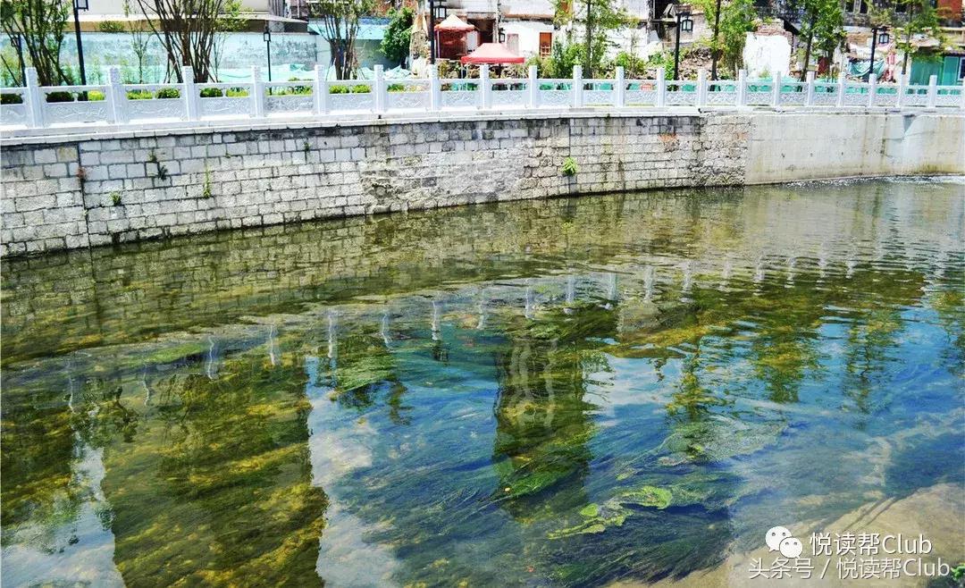 复兴安顺贯城河,保护我们的母亲河,每位安顺人责无旁贷!