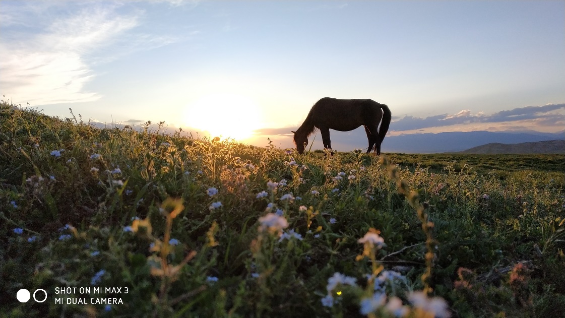 小米max3手机后置摄像有广角,小米max3相机怎么设置最佳效果