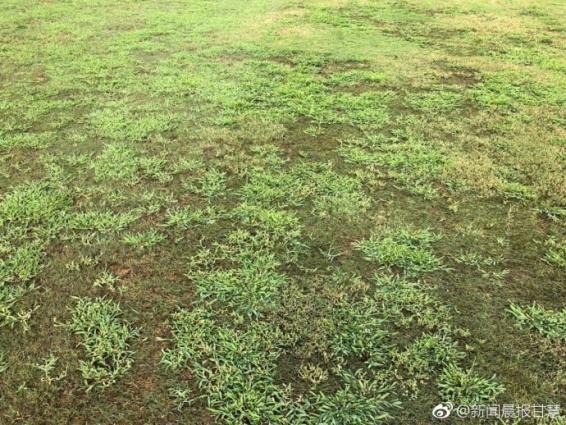 建业vs申花进球瞬间,建业与中超保级大战