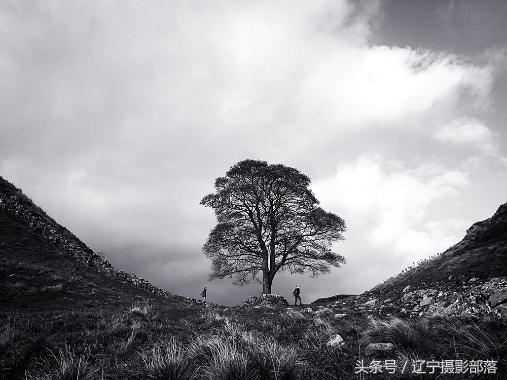 2020年ipa摄影奖获奖作品,ippa摄影大赛获奖作品2010