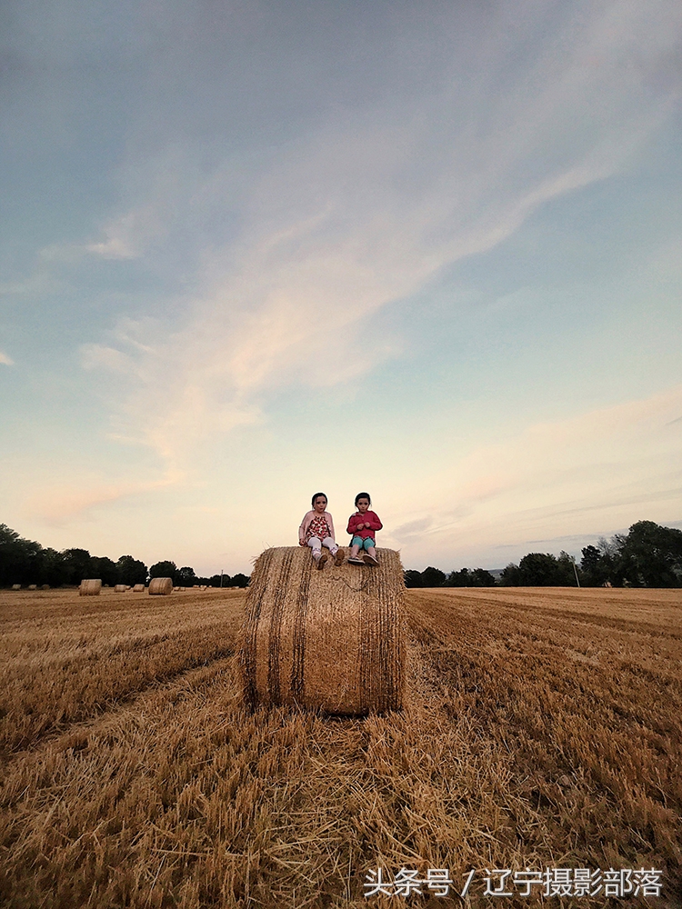 2020年ipa摄影奖获奖作品,ippa摄影大赛获奖作品2010
