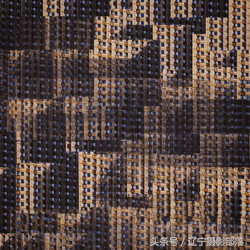 2020年ipa摄影奖获奖作品,ippa摄影大赛获奖作品2010